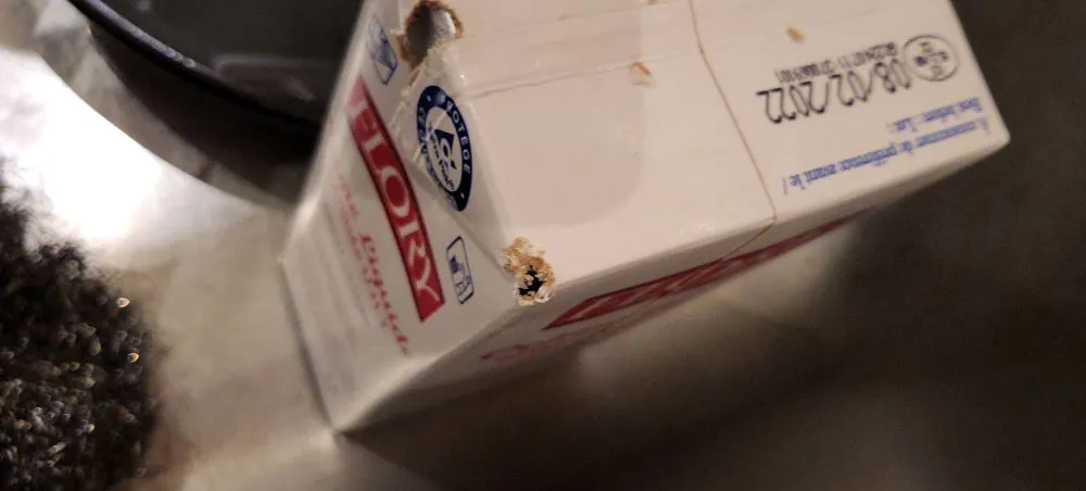 brique de lait rongée par une souris